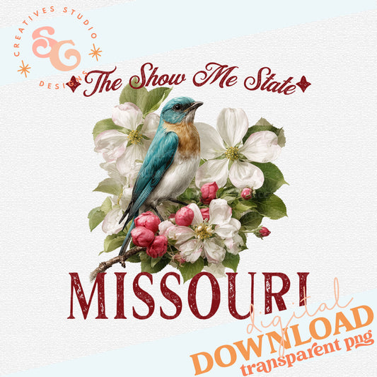 VINTAGE STATES MISSOURI