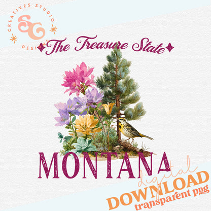 VINTAGE STATES MONTANA