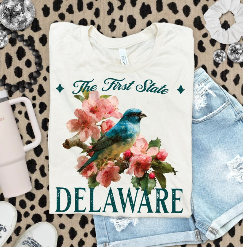 VINTAGE STATES DELAWARE