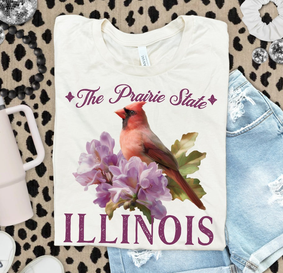 VINTAGE STATES ILLINOIS