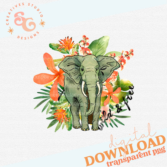 Wild and Free Elephant